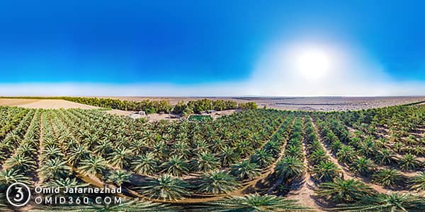 تور مجازی مزرعه خرما ایرانشهر